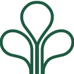 rimbakencana