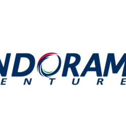 Logo PT Indorama Polypet Indonesia