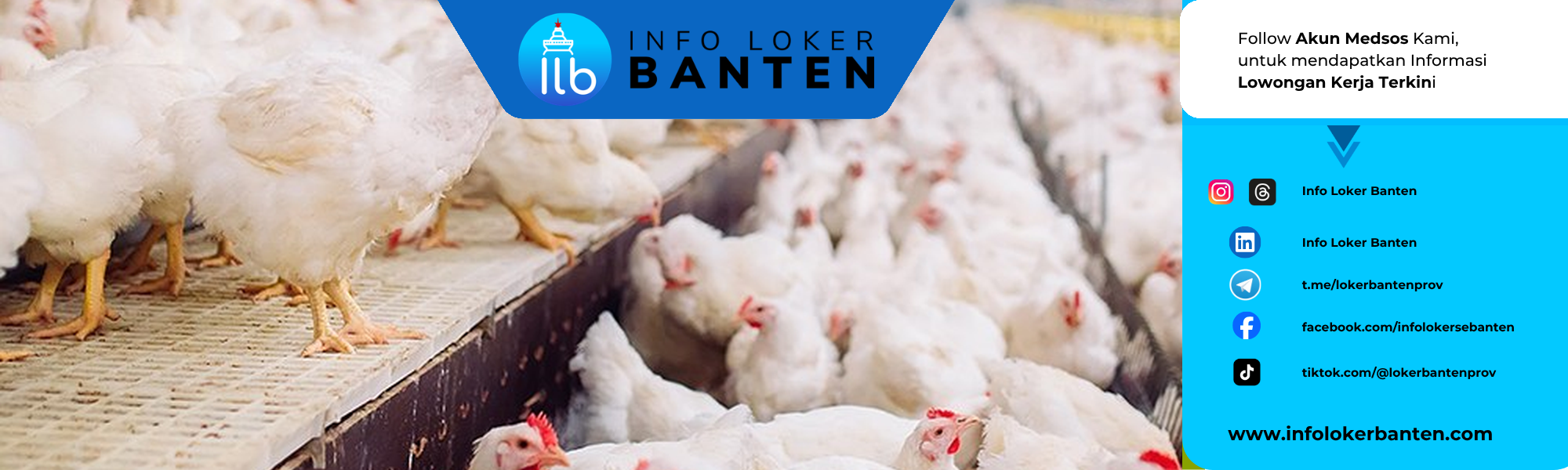 lowongan kerja corporate internal audit supervisor lebakwangi bogor — PT Sreeya Sewu Indonesia Tbk