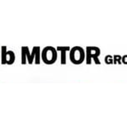 Logo IB Motor Group