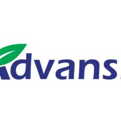 lowongan field assistant advansia indotani pandeglang