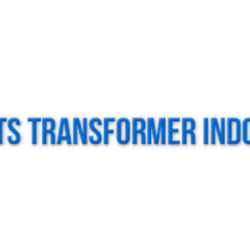 Logo PT TS Transformer Indonesia