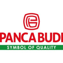 Lowongan Kerja Internal Audit Staff Panca Budi Tbk BSD Tangerang Selatan 2026