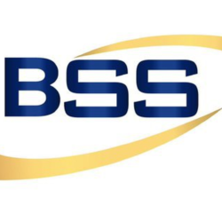 Logo BSS Recruitment