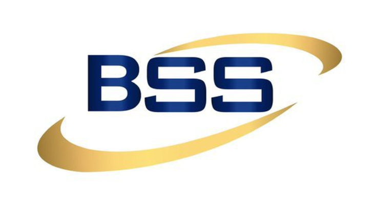 Logo BSS Recruitment