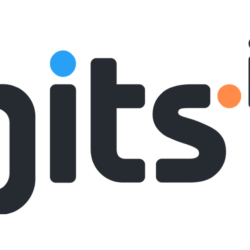 Logo GITS Indonesia / Hitopia.id