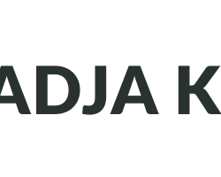 Logo PT Wadja Inti Mulia