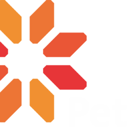 Logo PT Petra Sejahtera Abadi